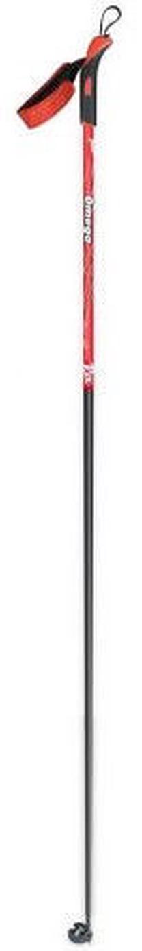 Slēpju nūjas līdzenumiem Rex Omega, 145 cm