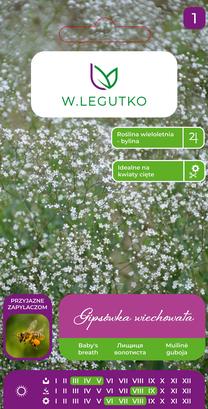 Sėklos guboja WHITE, 1 g