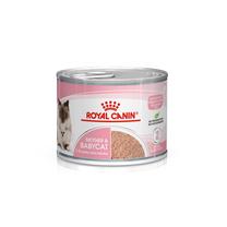Mitrā kaķu barība Royal Canin Babycat, vistas gaļa, 0.195 kg