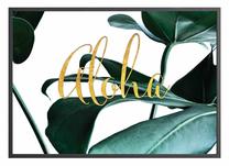 Pilt DecoKing Rainforest Aloha, 40 cm x 50 cm
