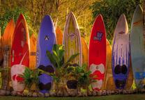Fototapete Komar Maui 8-902, 368 cm x 254 cm