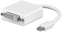 Vads Goobay DisplayPort male, DVI-D, 0.1 m
