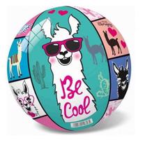 Vaikiškas kamuolys paplūdimio 48555, 23 cm