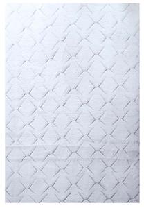 Kilimas vidaus Ayyildiz Vision VISION801505122SILVER, sidabro sp., 150 cm x 80 cm