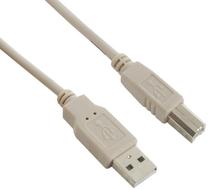 Adapteris 4World USB 2.0 A male, USB 2.0 B male, 3 m, pilka sp.