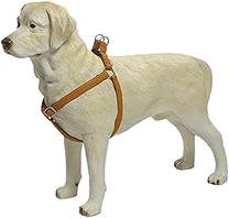 Petnešos šunims Beeztees Harness, ruda sp., 600 - 1000 mm x 25 mm, 25X60-100