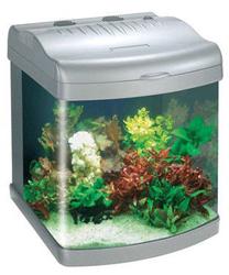 Akvariumas Boyu Mini MT-50, sidabro sp., su įranga, 80 l