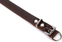 Antkaklis šunims Karlie Rondo, ruda sp., 320 mm x 10 mm