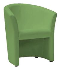 Krėslas TM 1, žalias, 67 cm x 60 cm x 76 cm