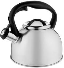 Arbatinukas su švilpuku Florina Silia THK-081489, 2.5 l, sidabro sp.