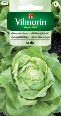 Sėklos, salotos Apollo, 1 g
