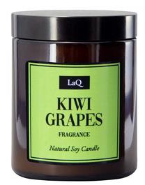 Žvakė, aromatinė Laq Soy Candle Kiwi & Grapes, ruda sp./balta sp.
