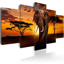 Reprodukcija Artgeist The Savannah King N5824-DKX, 200 cm x 100 cm