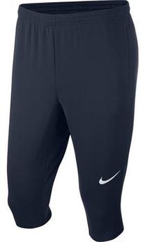 Kapri, vīriešiem Nike, zila krās., l