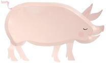 Vienkartinės lėkštės Meri Meri On The Farm Pig, 26 cm, 12 vnt.
