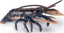 Фигурка-игрушка Papo Lobster 442873, многоцветный