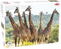 Dėlionė Tactic Giraffes 56755T, 48 cm x 67 cm, 1000 vnt., įvairių spalvų