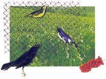 Plastikinis tinklas M-400, 5 m x 400 cm