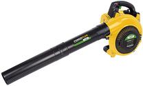 Benzininis lapų pūstuvas Powerplus POWXG50400, 650 W