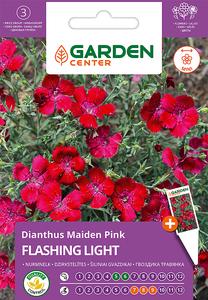 Sėklos Garden Center gvazdikas FLASHING LIGHT, 0.3 g