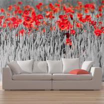 Fototapete Artgeist Red Poppies On Black And White Background, 270 cm x 441 cm