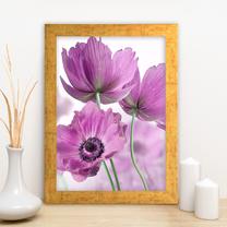 Foto paveikslas Wallity AC1680333025, 24 cm x 29 cm