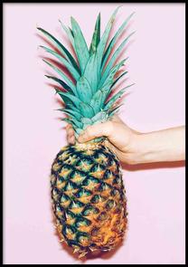 Pilt DecoKing Pineapple Pastel Pink, 70 cm x 100 cm