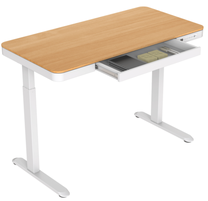 Datorgalds regulējams augstums Flexispot EW9WM, 120.4 cm x 60.4 cm, 72 - 122 cm, brūna krās./balta krās.