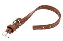 Antkaklis šunims Ferplast Vogue Cf, ruda sp., 300 - 390 mm x 20 mm, 20/39