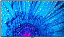 Монитор NEC MultiSync M651, UHD, 65″