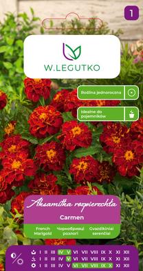 Sėklos serentis CARMEN, 1.5 g