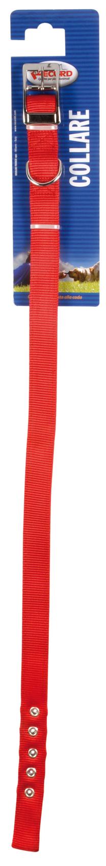 Ошейник для собак Record, красный цв., 500 - 550 мм x 25 мм, 50-55