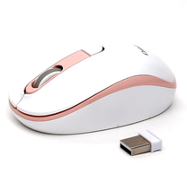 Belaidė kompiuterinė pelė Omega OM-220, nano usb, balta sp./rožinė sp.