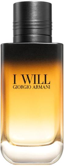 Парфюмированная вода Giorgio Armani I Will, 100 мл
