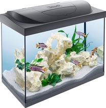 Akvariumas Tetra Starter Line LED, juoda sp., su įranga, 80 l