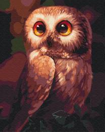 Tapymas pagal skaičius Picture Paint It! Owl, įvairių spalvų