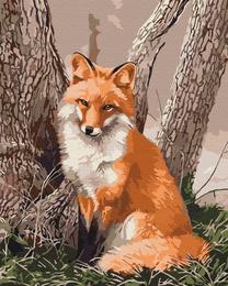 Tapymas pagal skaičius Paint it! Fox In Forest, įvairių spalvų