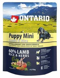 Сухой корм для собак Ontario Puppy Mini, баранина/рис, 0.75 кг