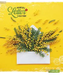 Sąsiuvinis, linijomis, B5, 48 lapų, (spalva/dizainas parenkami atsitiktine tvarka)