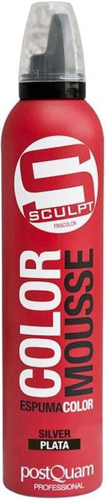 Matu putas PostQuam Professional Sculpt Color Silver, 300 ml