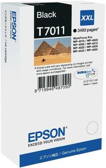 Rašalinio spausdintuvo kasetė Epson T701, juoda sp.