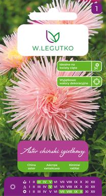 Sėklos astras SALMON, 1 g