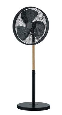Pastatomas ventiliatorius RL Viking Viking, 30 W
