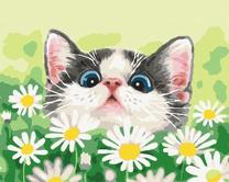 Tapymas pagal skaičius Cat In Daisies, įvairių spalvų