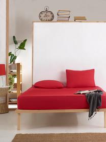 Paklodė Mijolnir Fresh Color 162ELR2459, raudona sp., 160 x 200 cm, su guma