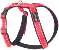 Petnešos šunims Amiplay Reflective, raudona sp., 340 - 430 mm, 34-43