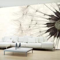 Fototapete Artgeist White Dandelion XLFTNT1392SAM, 175 cm x 245 cm