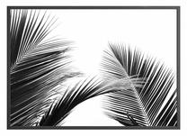 Pilt DecoKing Keywest, 50 cm x 40 cm
