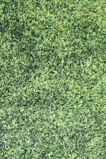 Kiliminis takas Conceptum Hypnose Grass, įvairių spalvų, 200 cm x 80 cm