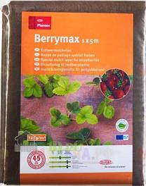 Geotekstilė Plantex Berrymax, ruda sp., 5 m x 1 m, 125 g/m²